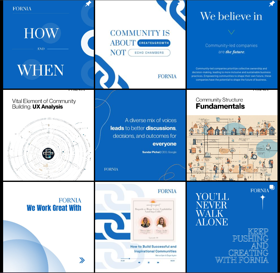 Fornia LLC - Community-led Growth Revolution kapak görseli